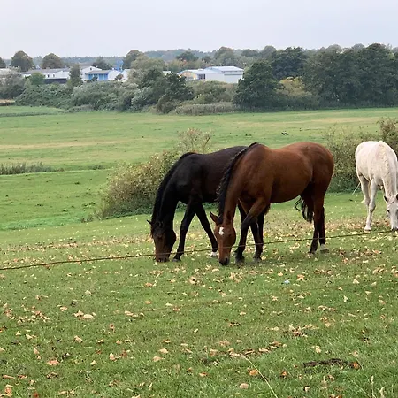 Apartment Urlaubstraeume-am-meer-wohnung-4-6-9336 Kuehlungsborn